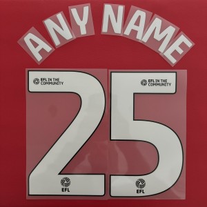 Burnley | EFL Sky Bet Championship 2024/25 Official Shirt Name & Number Set for sale on Ebay