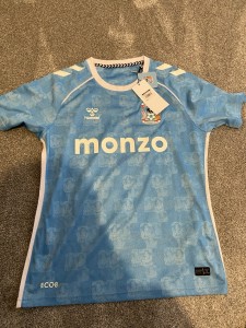 Hummel Coventry City Home 25/26 Pro Shirt Medium Mens Brand New for sale on Ebay