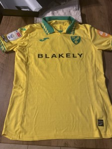 Matchworn Norwich City Shirt for sale on Ebay