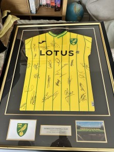 Norwich City Football Club 2022/2023 Official Signed Framed Football Shirt for sale on Ebay