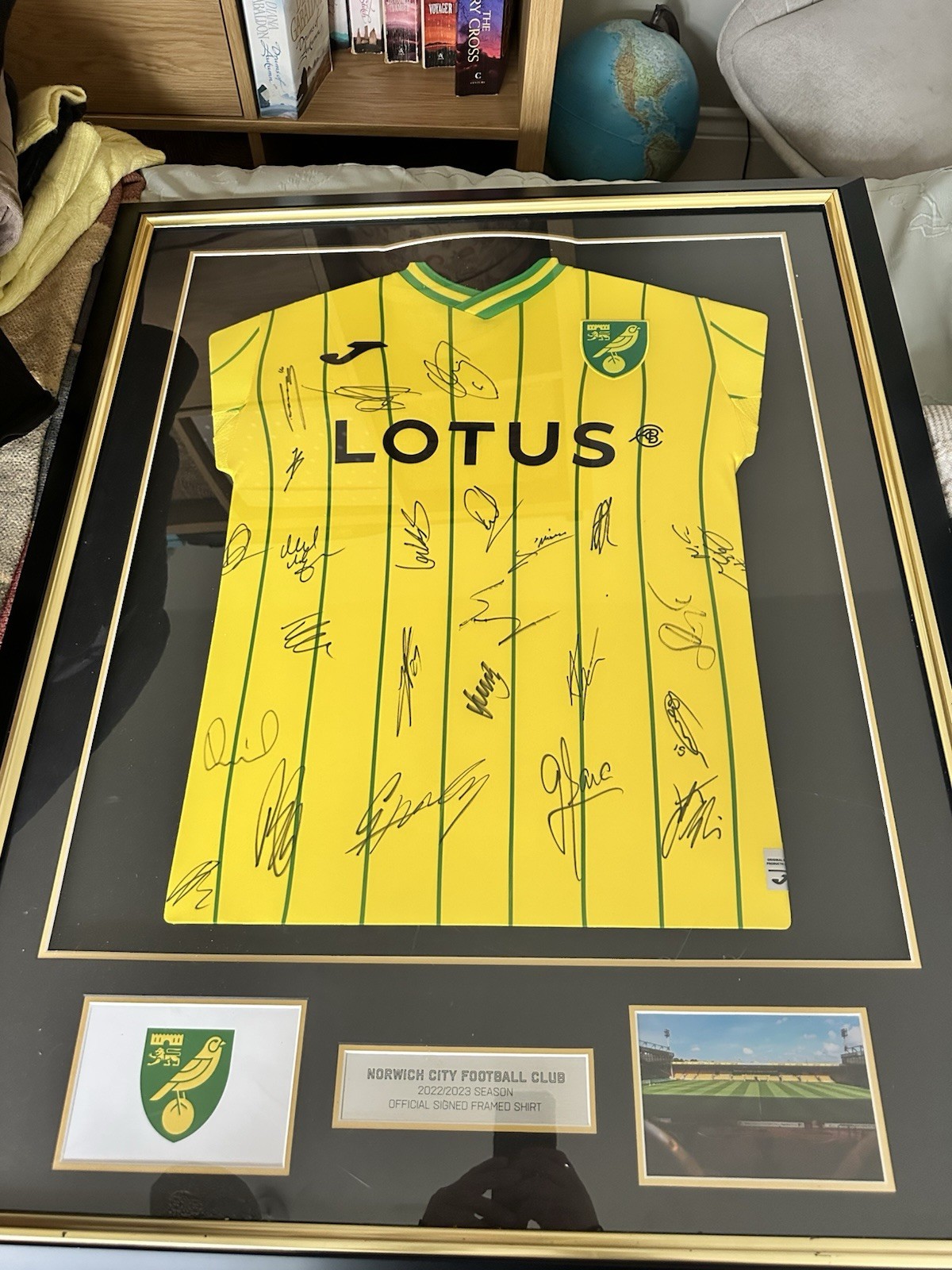 Norwich City Football Club 2022/2023 Official Signed Framed Football Shirt for sale on Ebay