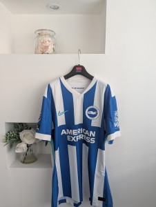 James Milner Brighton & Hove Football Shirt Size L for sale on Ebay