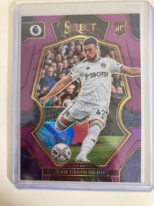 PANINI PREMIER LEAGUE SLEECT 22/23 SAM GREENWOOD LEEDS PARALLEL 8/135. for sale on Ebay