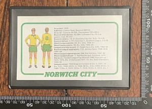 1970s NORWICH CITY Football Team Kit Facts Figures Picture Fridge Magnet for sale on Ebay