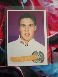 1994 Panini PFA Andy Gray Leeds Mint Sticker English Football League for sale on Ebay