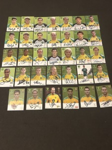 Norwich City Signed Card Collection 2005/06–2006/07 34 Autographs for sale on Ebay