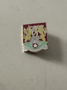 Northampton Town Football Club Pin Badge for sale on Ebay
