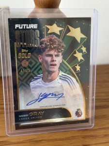Topps Premier League Gold 2025/26 Harry Gray Rookie Auto Green /75 Leeds United for sale on Ebay