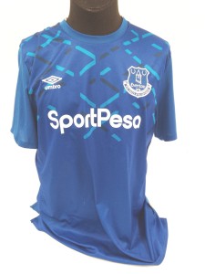 Everton FC Umbro Home Shirt XL 2019 2020 SportPesa Angry Birds Blue Adults  for sale on Ebay