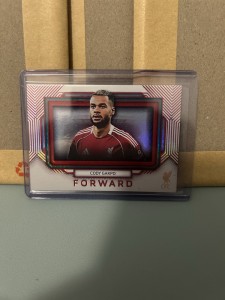 Cody Gakpo 14/49 Red Parallel Liverpool Platinum Futera 2025 Colour Match for sale on Ebay