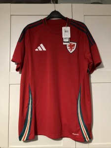 Wales Home 2024 Shirt Brand New With Tags. Only Tried On Slim Fit Large Mens for sale on Ebay
