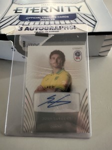 Panini EFL Eternity Base Autograph Josh Sargent Norwich City for sale on Ebay