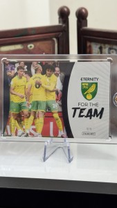 Norwich 1/1 For The Team Panini EFL Eternity Football Card for sale on Ebay