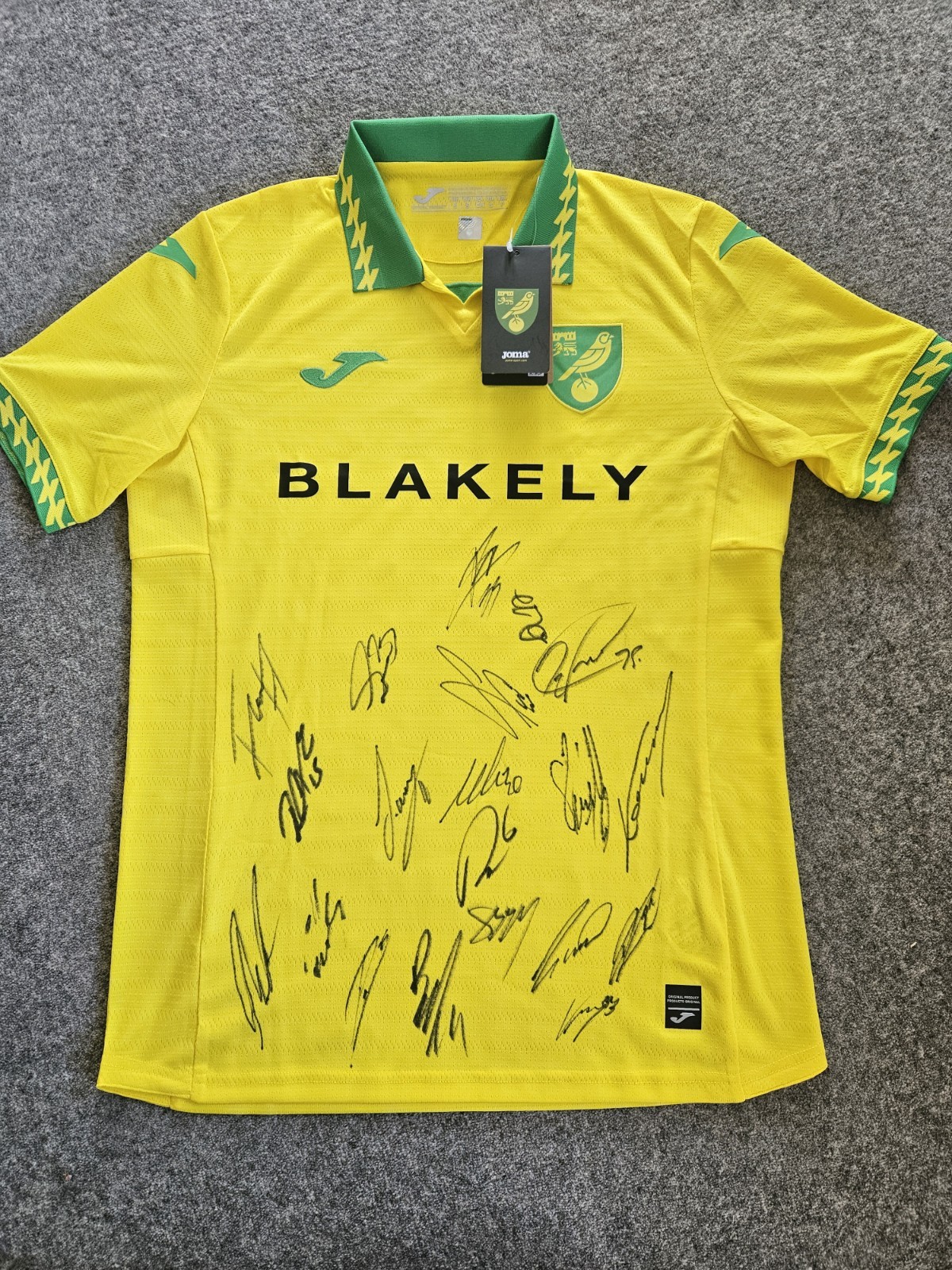 Norwich City F.C.  Signed Shirt From Norwich V Ipswich Match 11/04/26. Brand New for sale on Ebay