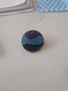 Vintage St Neots & District FC Supporters Club Pin Badge HW Miller for sale on Ebay