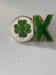 CELTIC   OK -VINTAGE  ORIGINAL  COFFER  BADGE Enamelled for sale on Ebay