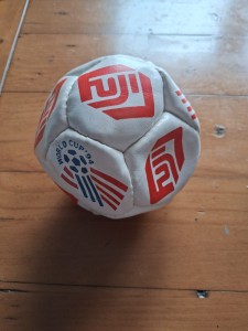 Fuji World Cup 1994 Mini Ball. for sale on Ebay
