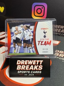 Panini Wsl Eternity For The Team Tottenham /10 for sale on Ebay