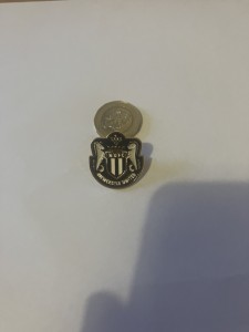 Newcastle United shield enamal pin football badge   for sale on Ebay