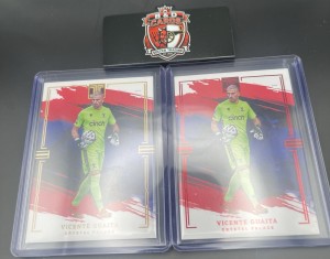 Panini Immaculate 22/23 Vicente Guaita Crystal Palace Numbered Card Bundle for sale on Ebay