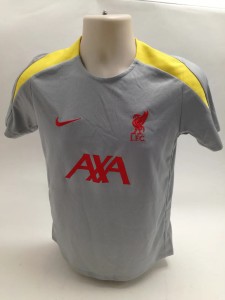 Nike Liverpool FC Training Shirt Grey Yellow AXA XL Slim Fit for sale on Ebay