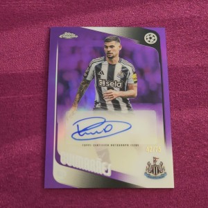 Topps Chrome UCC 25-26 Bruno Guimaraes Auto /75 Purple Refractor Newcastle Utd  for sale on Ebay