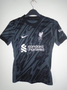 Liverpool  2024 2025 Nike Goalkeeper shirt  Boys Small 128-137cm for sale on Ebay