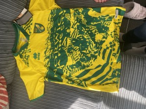 NEW Norwich City 2021 special for fans football shirt Large Errea BNWT for sale on Ebay