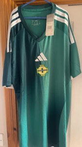 National Team Northern Ireland for sale on Ebay