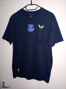 Castore Everton FC Training Shirt Size Large *Mint* for sale on Ebay
