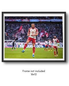 Harry Kane Hand Signed Bayern Munich Goal Celebration 16x12 Huge HD Photo + COA for sale on Ebay