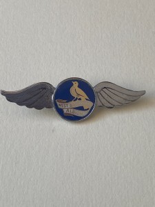 Enamel Metal Badge - West Bromwich Albion for sale on Ebay
