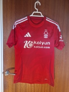 Nottingham forest 2024-25 home shirt for sale on Ebay