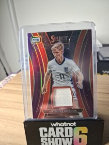 Anthony Gordon Patch /49 Panini Select England / Newcastle for sale on Ebay