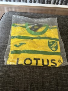 Brand New Norwich City Home Shirt 2023/24 for sale on Ebay