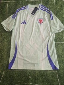 Adidas Wales Away football shirt 2025 - Mens Medium for sale on Ebay