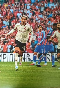Hand Signed Huge A3 Photo Hugo Ekitike Liverpool Number 22  & COA (9) for sale on Ebay