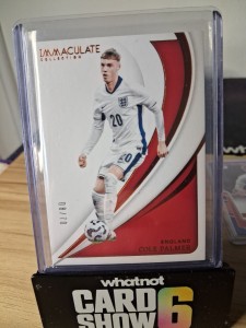 Cole Palmer /70 Panini Immaculate Collection England / Chelsea for sale on Ebay