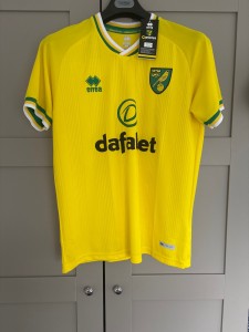 Norwich FC  football shirt signed by Pukki 20/21 for sale on Ebay