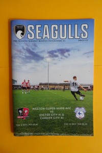 2021/22 WESTON -SUPER-MARE v EXETER CITY /  CARDIFF CITY    Friendly Match/ for sale on Ebay