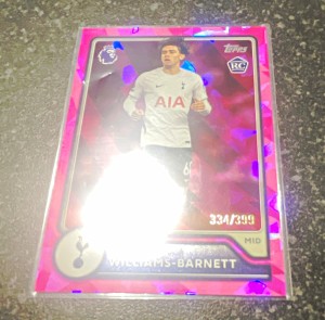 Topps Premier League Luca Williams-Barnett Tottenham Hotspur RC #255 /399 for sale on Ebay