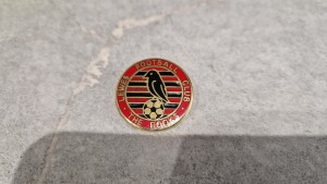 Lewes FC Metal Pin Badge The Rooks Vintage RARE for sale on Ebay