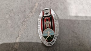 Lewes FC Metal Pin Badge Ryman Division 1 South Champions 2003-2004 The Rooks for sale on Ebay