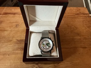 celtic fc quadruple treble watch for sale on Ebay