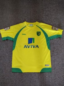 Norwich City, home shirt, 2010-2011, medium for sale on Ebay