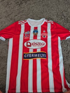 Sepsi OSK Sfantu Gheorghe 2022 Cup Winners Home Football Shirt Jersey Mens for sale on Ebay