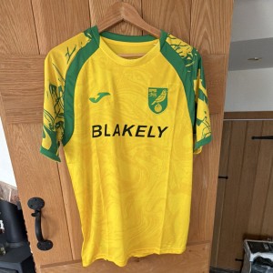 Norwich City 26/27 Official Home Short Adults Size Large for sale on Ebay