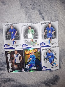 Birmingham City Efl Prestige Card Bundle for sale on Ebay